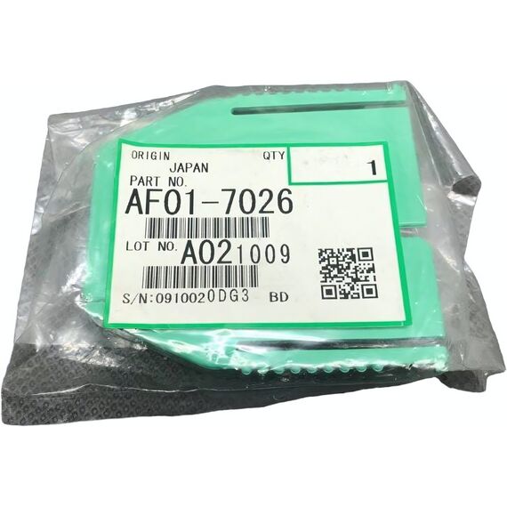 AF017026